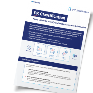 PK Classification: Apply Labels to Identify and Protect Sensitive Information