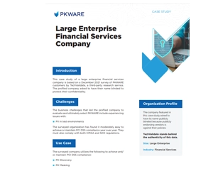 Large Enterprise Financial Services Company