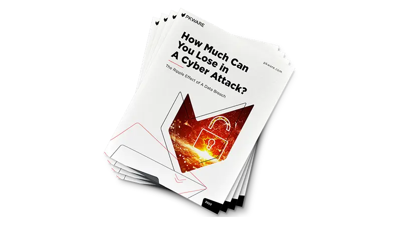 how much can you lose in a cyber attack ripple effect of a data breach pkware ebooks
