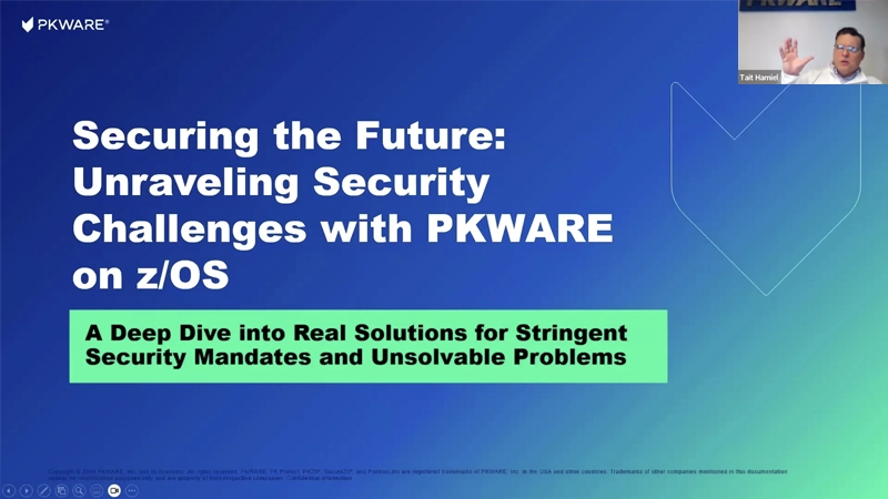 Unraveling Discovery and Security Challenges on the Mainframe