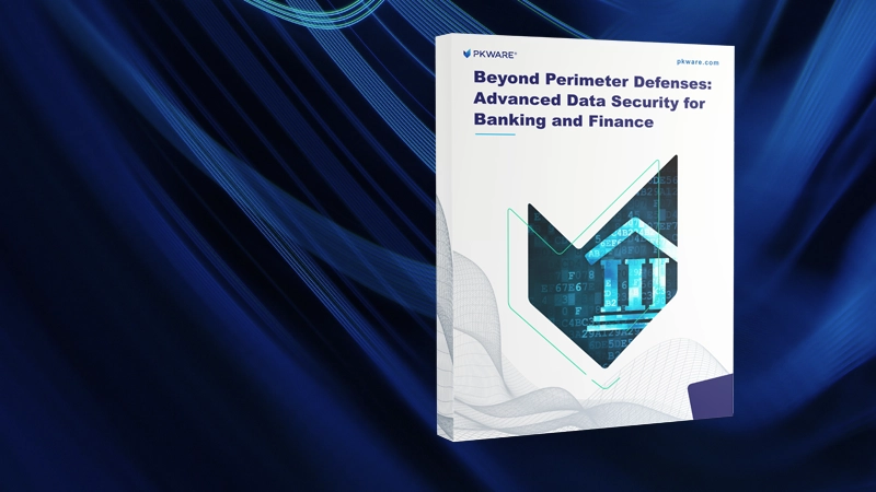 Beyond Perimeter Defenses: Advanced Data Security for Banking and Finance