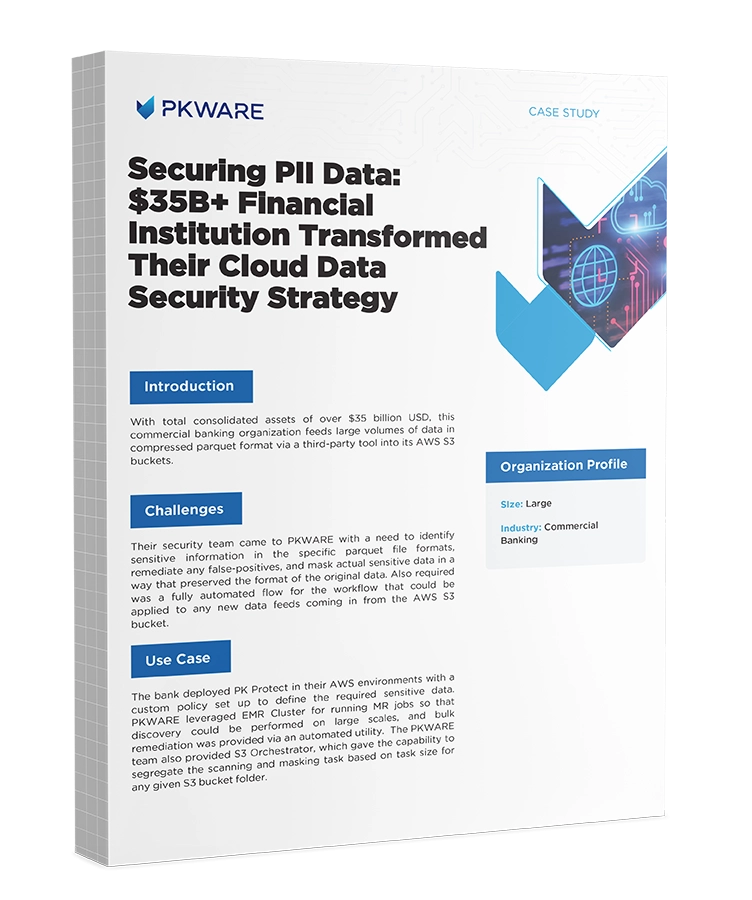 Securing PII Data case study cover